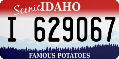 ID license plate I629067