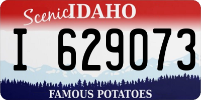 ID license plate I629073