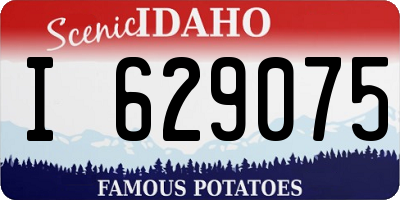 ID license plate I629075