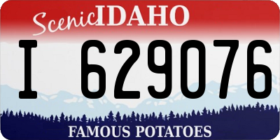 ID license plate I629076