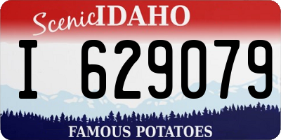 ID license plate I629079