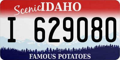 ID license plate I629080