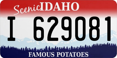 ID license plate I629081