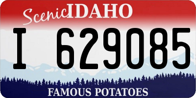 ID license plate I629085