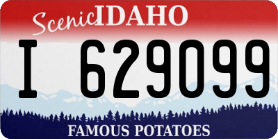 ID license plate I629099
