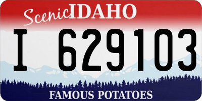 ID license plate I629103