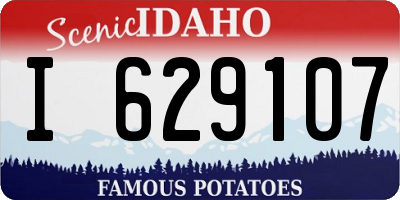 ID license plate I629107