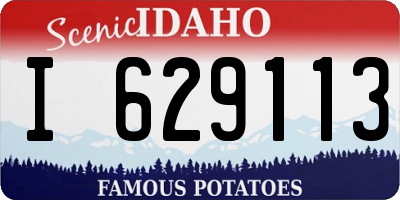 ID license plate I629113