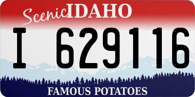 ID license plate I629116