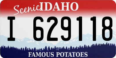 ID license plate I629118