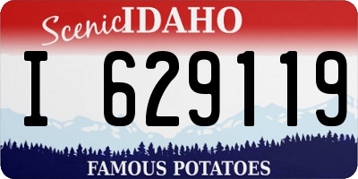 ID license plate I629119