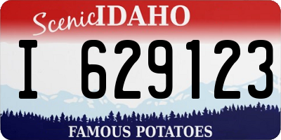 ID license plate I629123