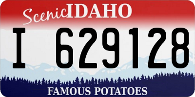 ID license plate I629128