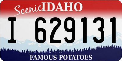 ID license plate I629131