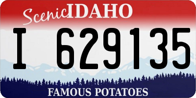 ID license plate I629135