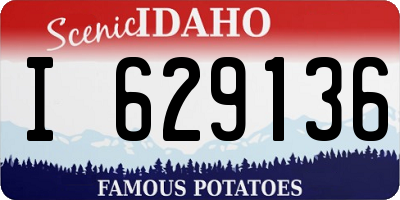 ID license plate I629136