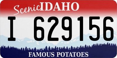 ID license plate I629156