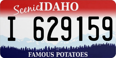 ID license plate I629159