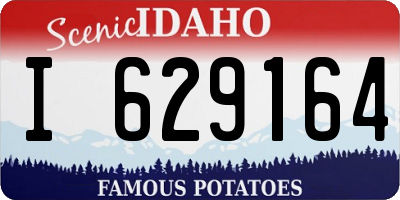 ID license plate I629164