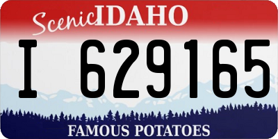 ID license plate I629165