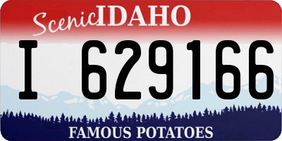 ID license plate I629166