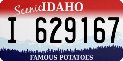 ID license plate I629167