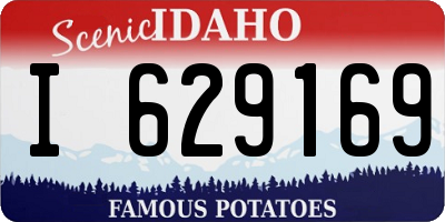 ID license plate I629169