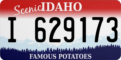 ID license plate I629173