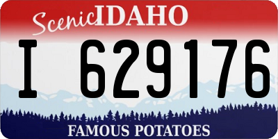 ID license plate I629176