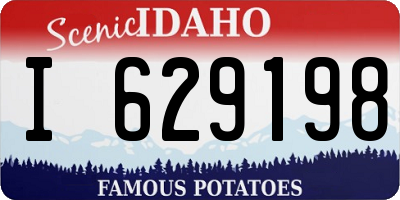ID license plate I629198