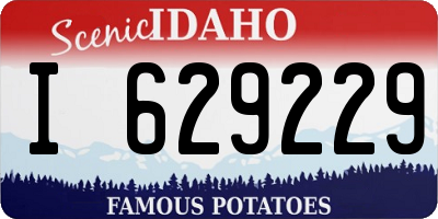 ID license plate I629229
