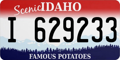 ID license plate I629233