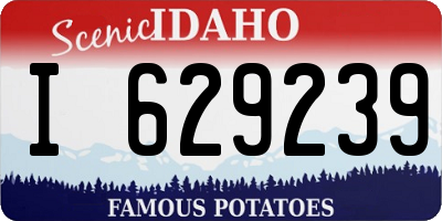 ID license plate I629239