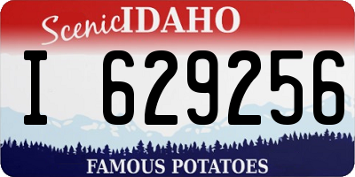 ID license plate I629256