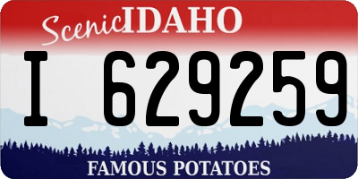 ID license plate I629259