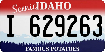 ID license plate I629263