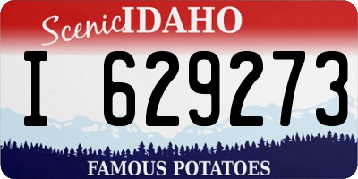 ID license plate I629273