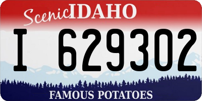 ID license plate I629302