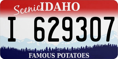 ID license plate I629307