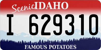 ID license plate I629310