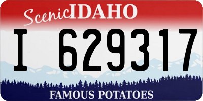 ID license plate I629317