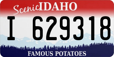 ID license plate I629318