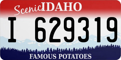 ID license plate I629319