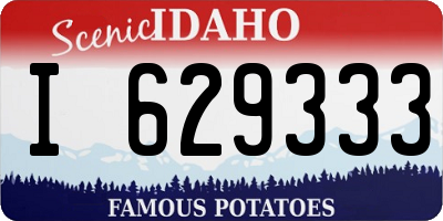 ID license plate I629333