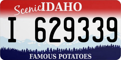 ID license plate I629339
