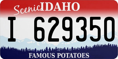 ID license plate I629350