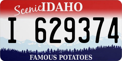 ID license plate I629374