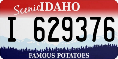 ID license plate I629376