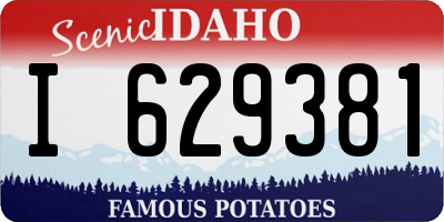 ID license plate I629381