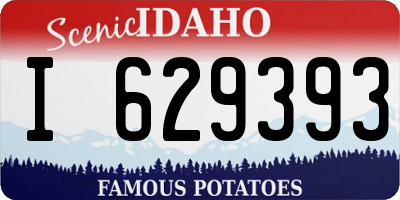 ID license plate I629393